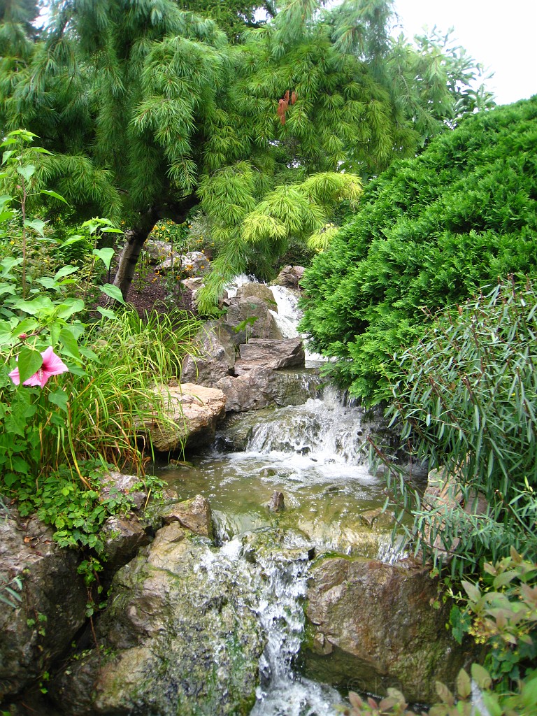 Botanical Gardens 2010 0235.jpg - The Chicago Botanic Gardens. Wear comfortable shoes, and be prepared to enjoy the landscape for a day.